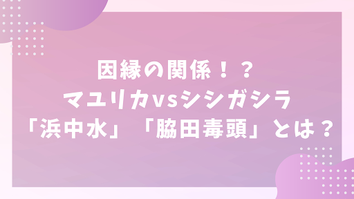 因縁の関係！？マユリカVSシシガシラ「浜中水」「脇田毒頭」とは？